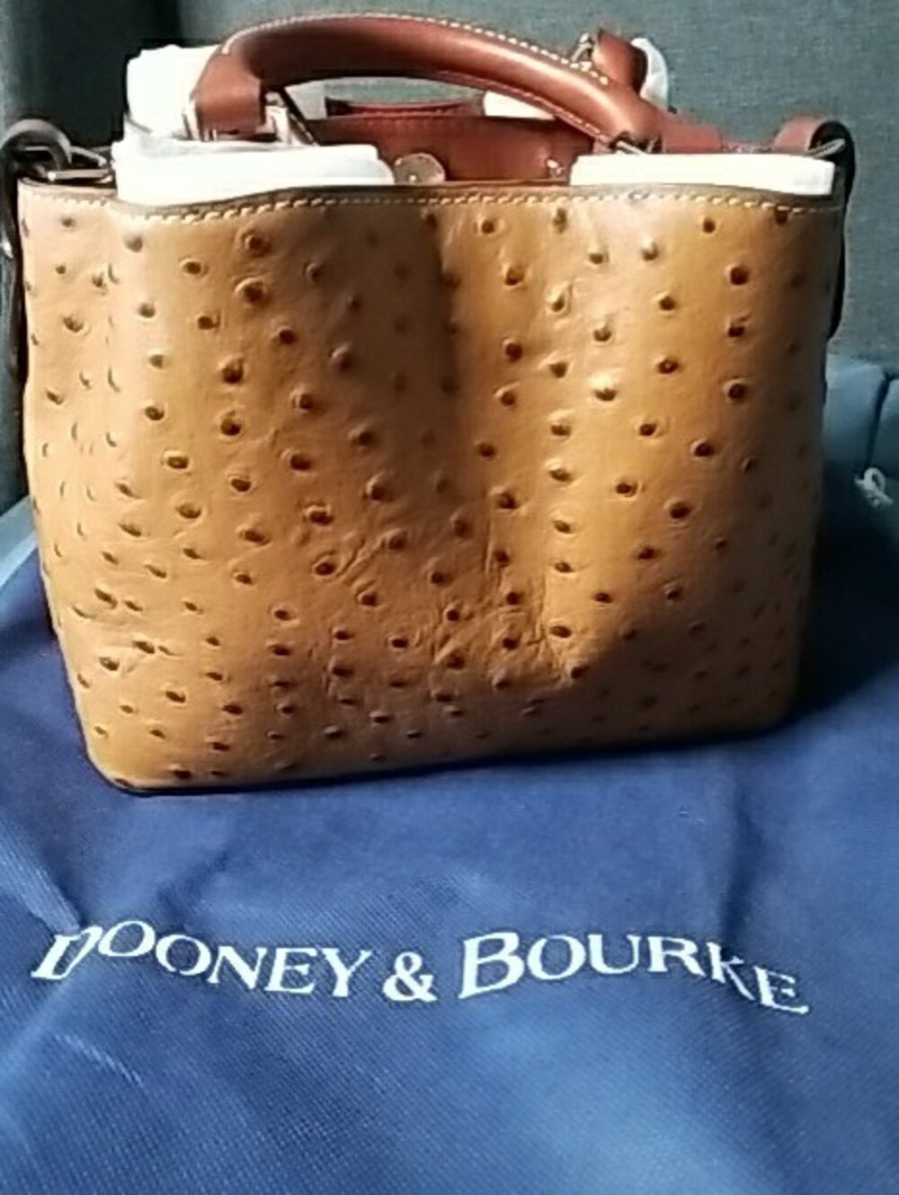 Dooney & Bourke Tan Ostrich-Embossed Satchel Mini with Brown Trim - Picture 6 of 13